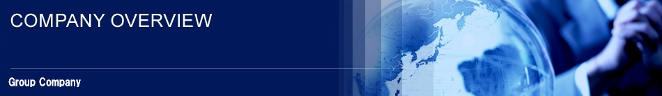 Group & Subsidiary Company